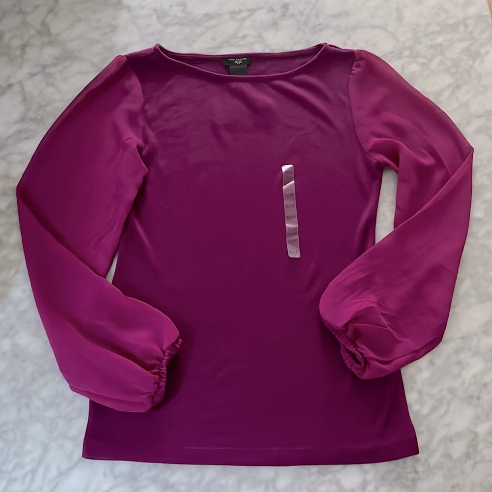 Ann Taylor Petites Long Sleeve Top